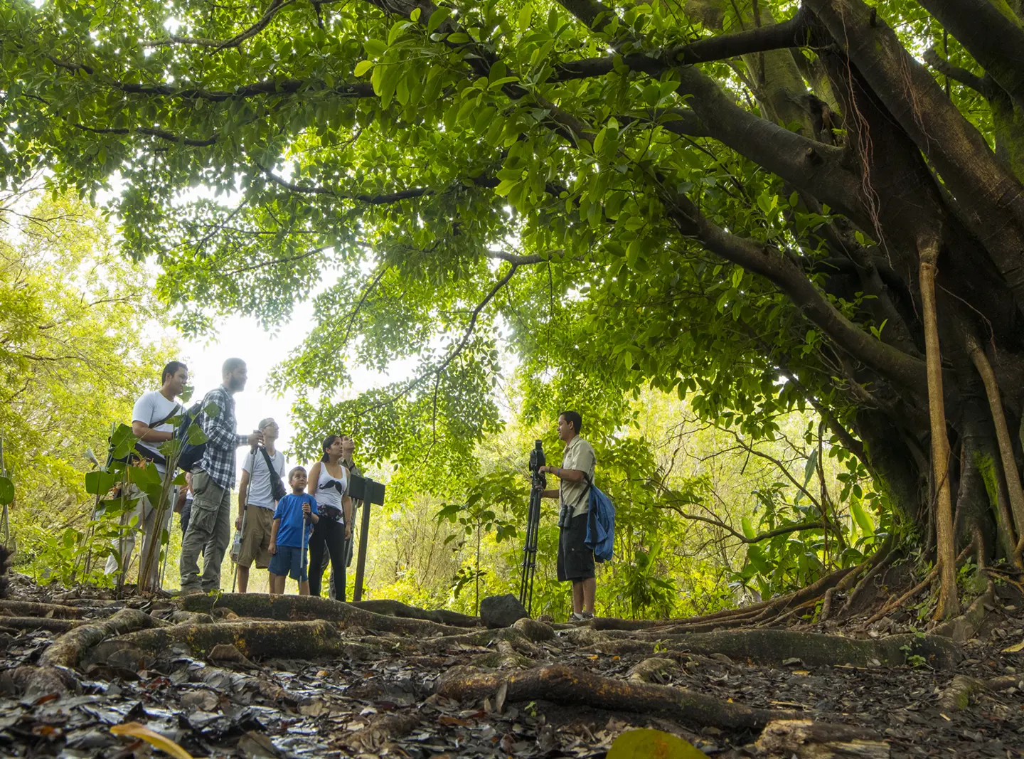 Arenal Volcano Hike + La Fortuna Waterfalls + Eco Termales Hot Springs