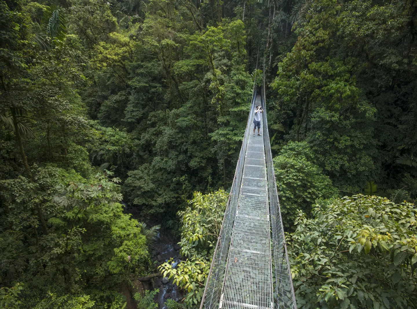 Arenal Volcano Highlights Tour: Hanging Bridges + La Fortuna Waterfalls + Arenal Volcano Hike