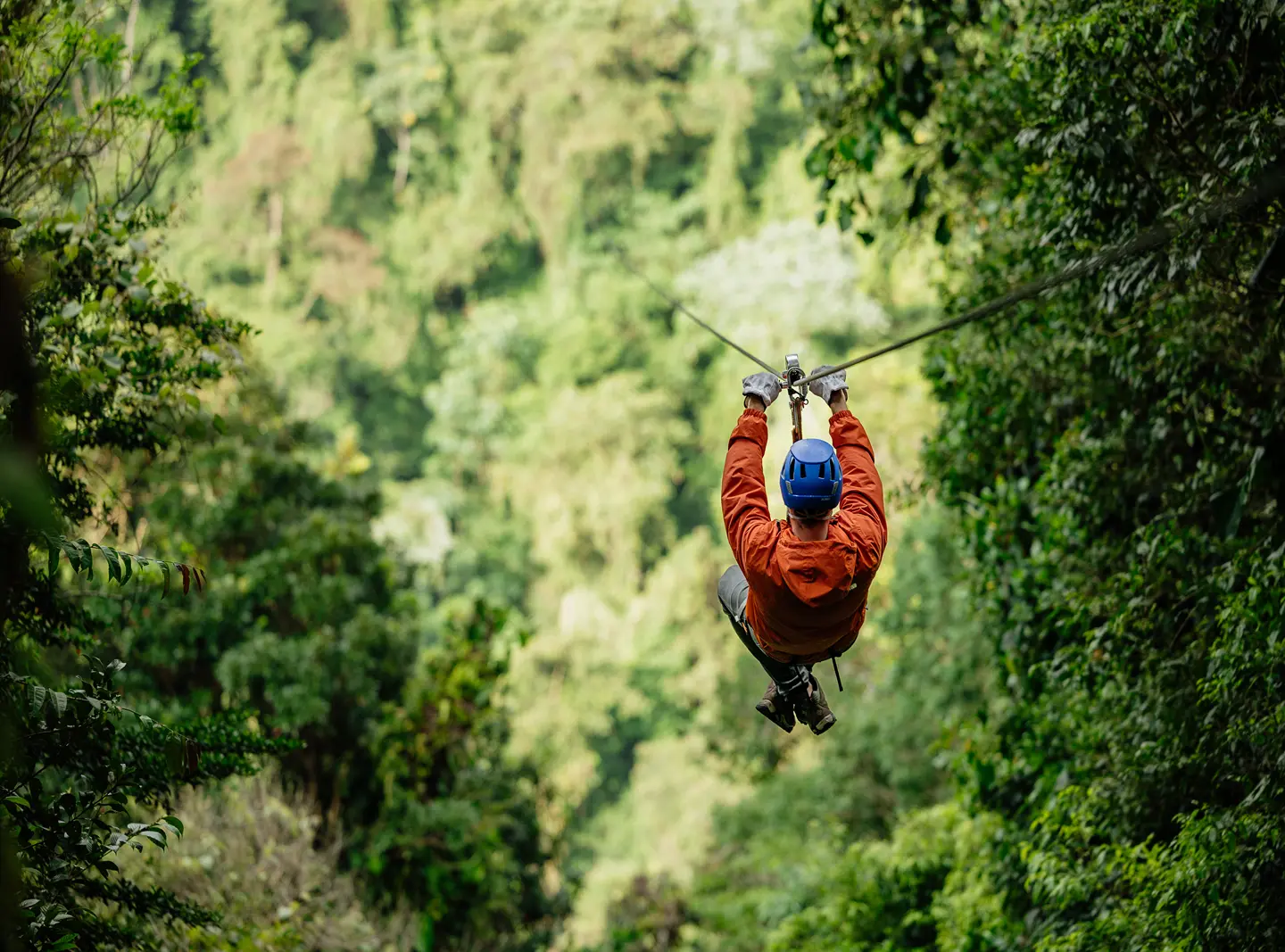 Sky Adventures: SkyTrek Canopy