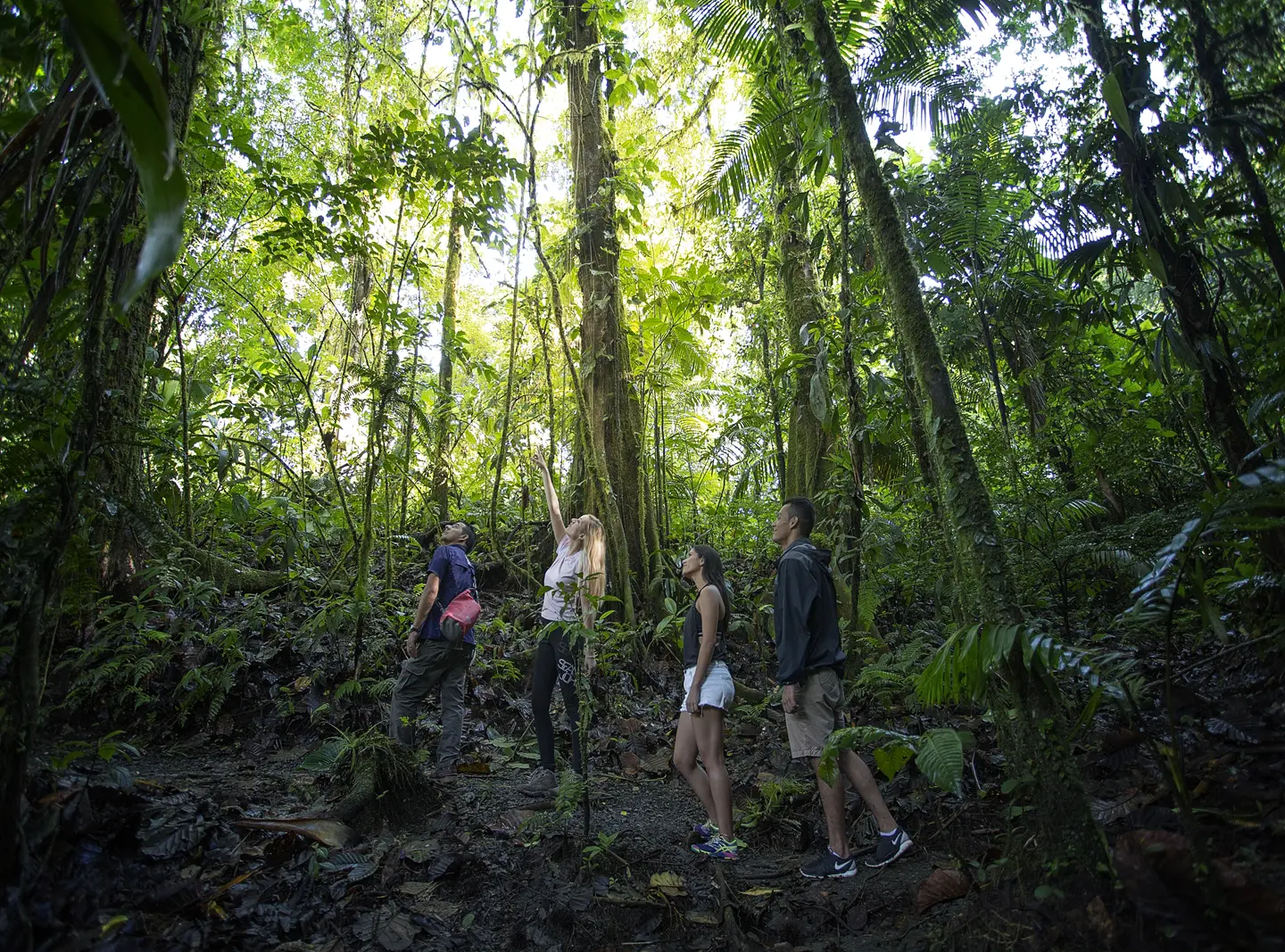 Arenal Volcano Hike + La Fortuna Waterfalls